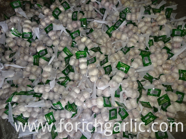 Small Bag Normal White Garlic